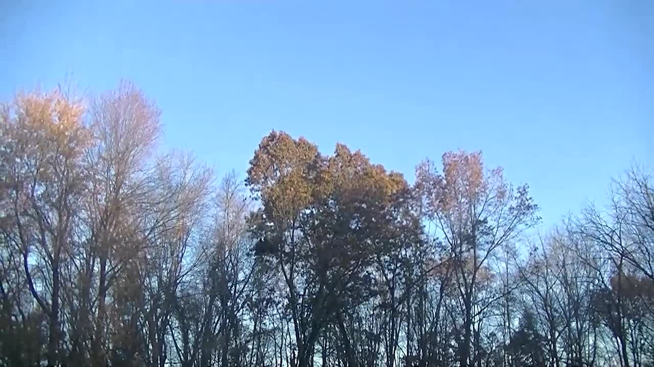  Otter Creek |  Wing Shooters XIII