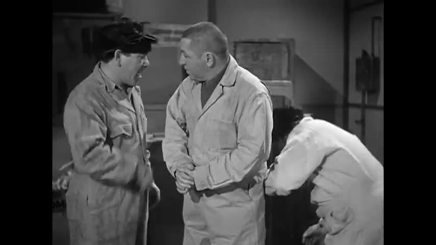 The Three Stooges | Monkey Businessmen